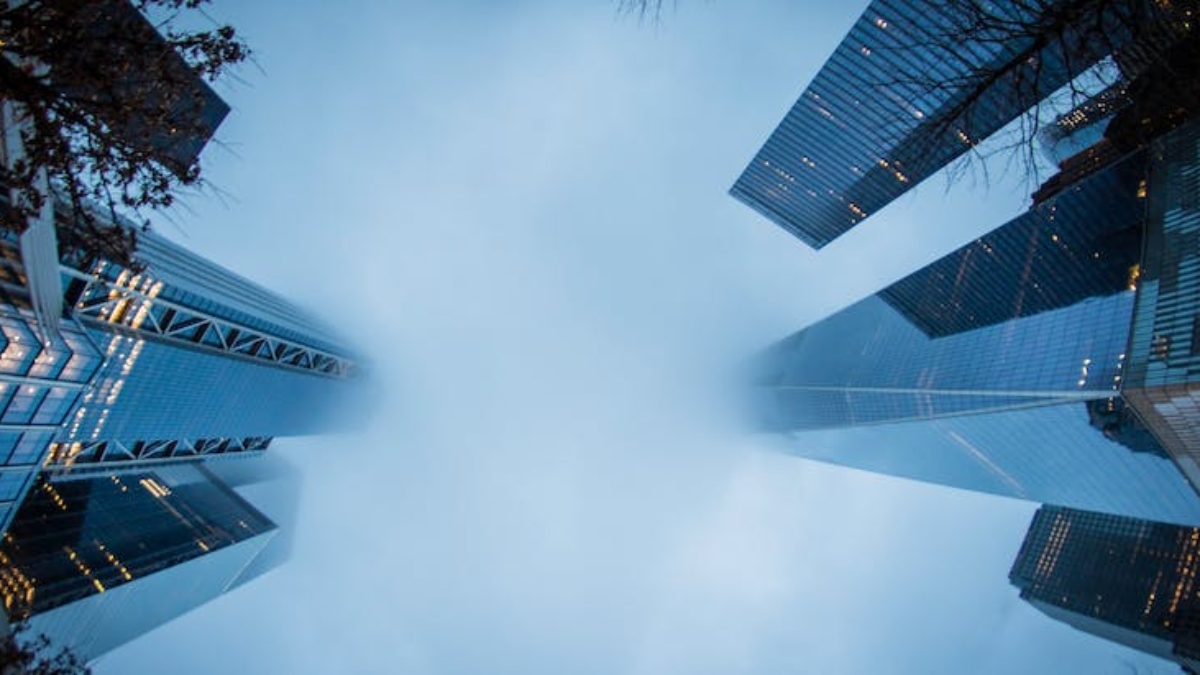 pexels-vicente-vidal-2697050